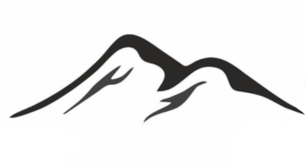 shape